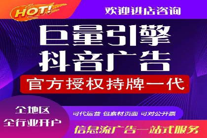 搜索引擎营销（SEM）的投放策略与效果评估——以某行业领先企业的案例分析